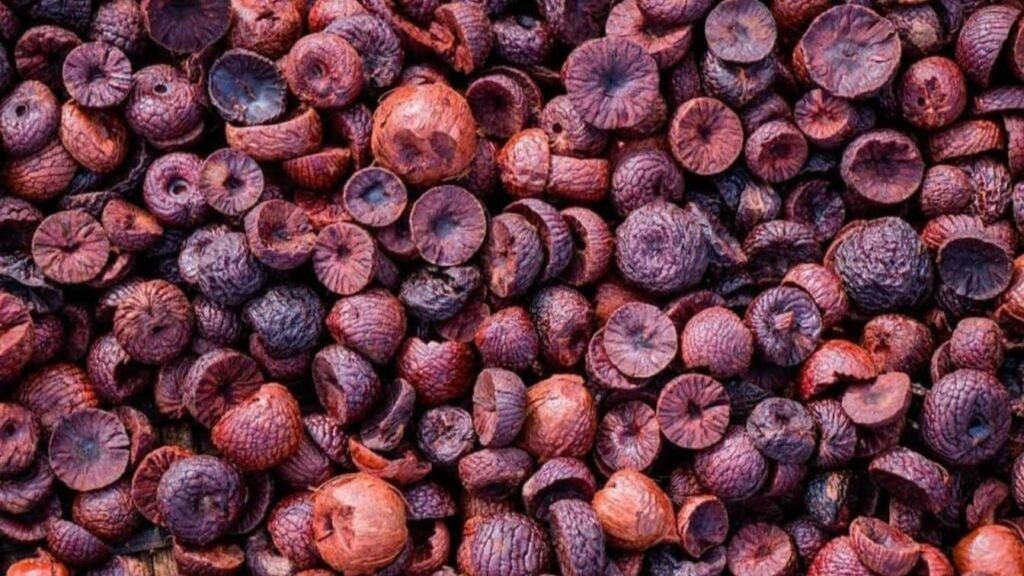 23 Jan: ಶಿವಮೊಗ್ಗ, ದಾವಣಗೆರೆ ಅಡಿಕೆ ಧಾರಣೆ | Arecanut Rate Today